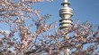 Kirschturm