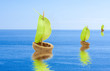 coques de noix sur mer calme