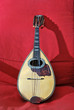 mandolino