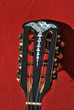 headstock of the mandolino