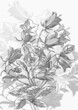 Tree with butterflies and dragonflies. Tree with butterflies and dragonflies.