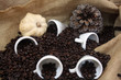 A lot of coffee A lot of coffee
