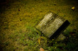Photo: Old cemetery angel sculpture made of stone Old cemetery angel sculpture made of stone