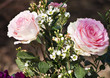 Rosen