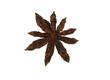 Star Anise
