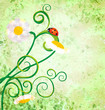 red ladybird on daisy flowers grunge background