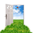 Open door leading to summer