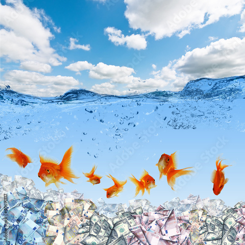 Illustration: Swimming gold fish and money symbols Swimming gold fish and money symbols