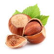 Dried hazelnuts with leaves