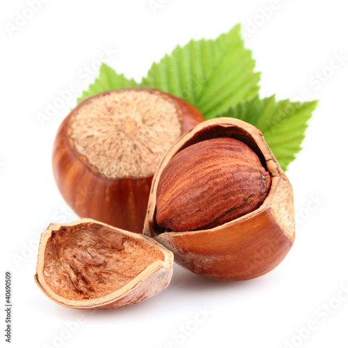 Photo: Dried hazelnuts with leaves Dried hazelnuts with leaves