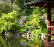 Foto: Garden full of flowers Garden full of flowers