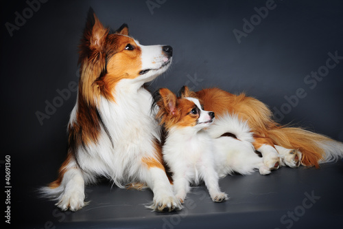 Photo: big and small big and small