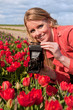 Dutch blond girl with old photo camera in field with tulips