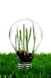 Green renewable energy farm it is near future Green renewable energy farm it is near future