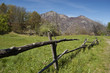 spring meadow with fence