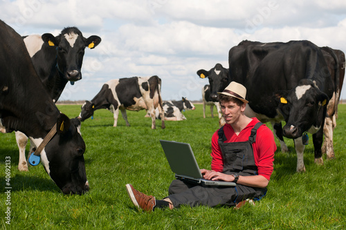 Photo: Young farmer with laptop in field with cows Young farmer with laptop in field with cows