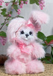 Photo: Funny Easter Bunny Funny Easter Bunny