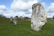 Avebury Stones