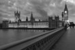 Londra, Westminster : le Houses of Parliament  2