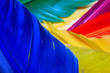 Abstract of feathers.