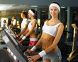 Young woman doing sport in gym Young woman doing sport in gym