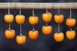 Photo en ligne au meilleur prix kaki fruit drying