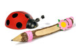 Ladybug and a pencil Ladybug and a pencil