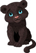 Black panther cub
