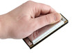 Harmonica in hand