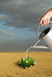 Agriculture