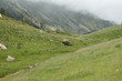 Vallée du Galbe,Pyrénées orientales Vallée du Galbe,Pyrénées orientales