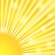 Sunburst