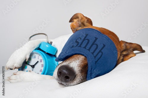 Foto: Dog sleeping with alarm clock and sleeping mask Dog sleeping with alarm clock and sleeping mask