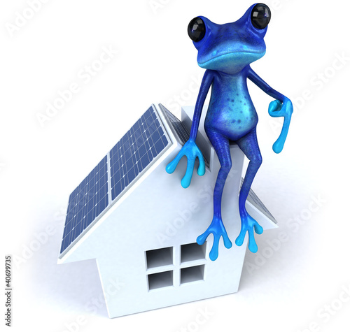 Illustration: Blue frog Blue frog