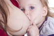 Little girl eating milk