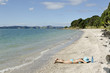 A woman sunbathing on the beach. A woman sunbathing on the beach.