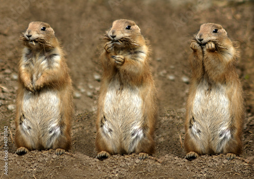 Photo: miteinander miteinander
