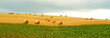Bales of wheat