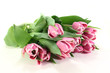 Tulpen