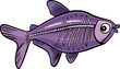 cartoon x-ray fish cartoon x-ray fish