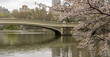 Bow bridge Bow bridge