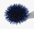 Illustration: 3d render of cartoon character with sea urchin 3d render of cartoon character with sea urchin
