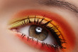 Cosmetics and beauty care. Macro close-up