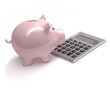 sparschwein_rechner