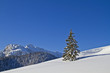 Foto: Winterlandschaft Winterlandschaft