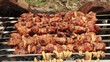 cooking shashlik on fire, timelapse cooking shashlik on fire, timelapse