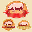 butcher label with pig