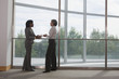 Two business executives talking in an office