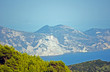 Sosnowy las nad zatoką na greckiej wyspie Zakynthos