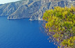 Sosna nad urwistym klifem na greckiej wyspie Zakynthos